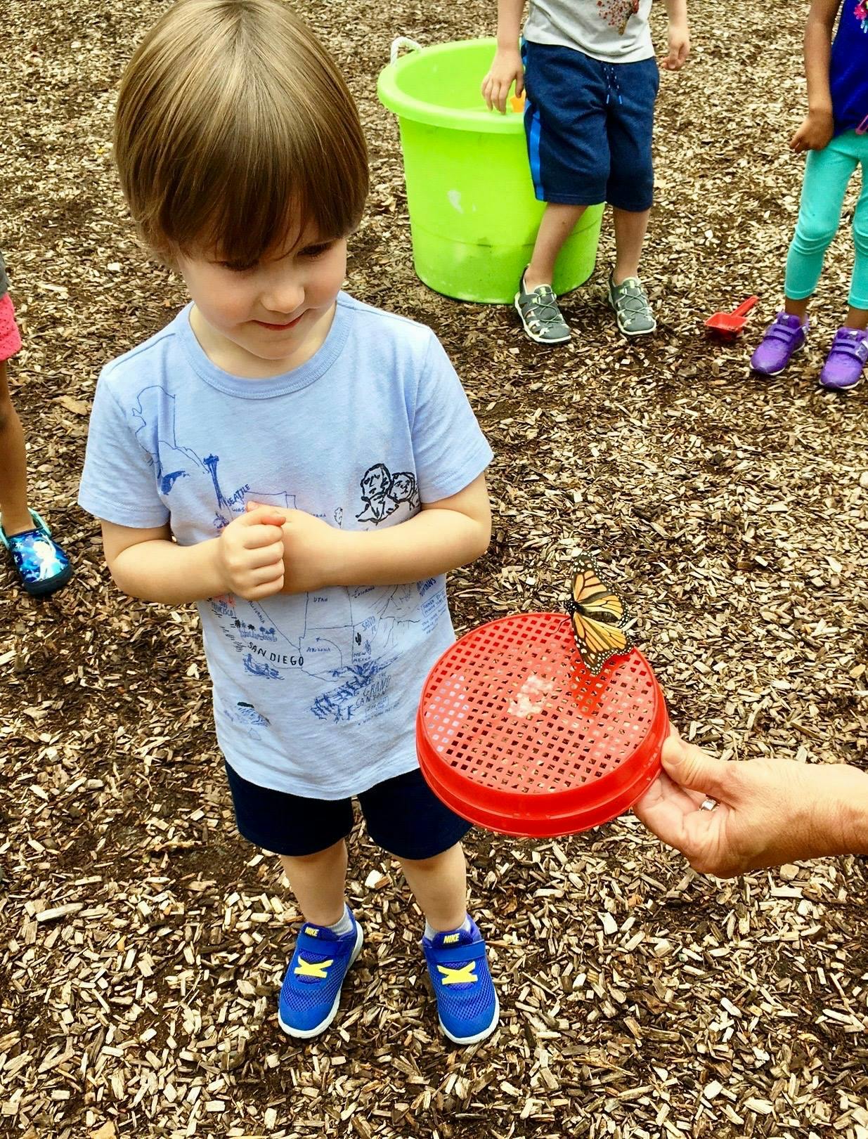 Child looking at a butterfly on a red sieve held object