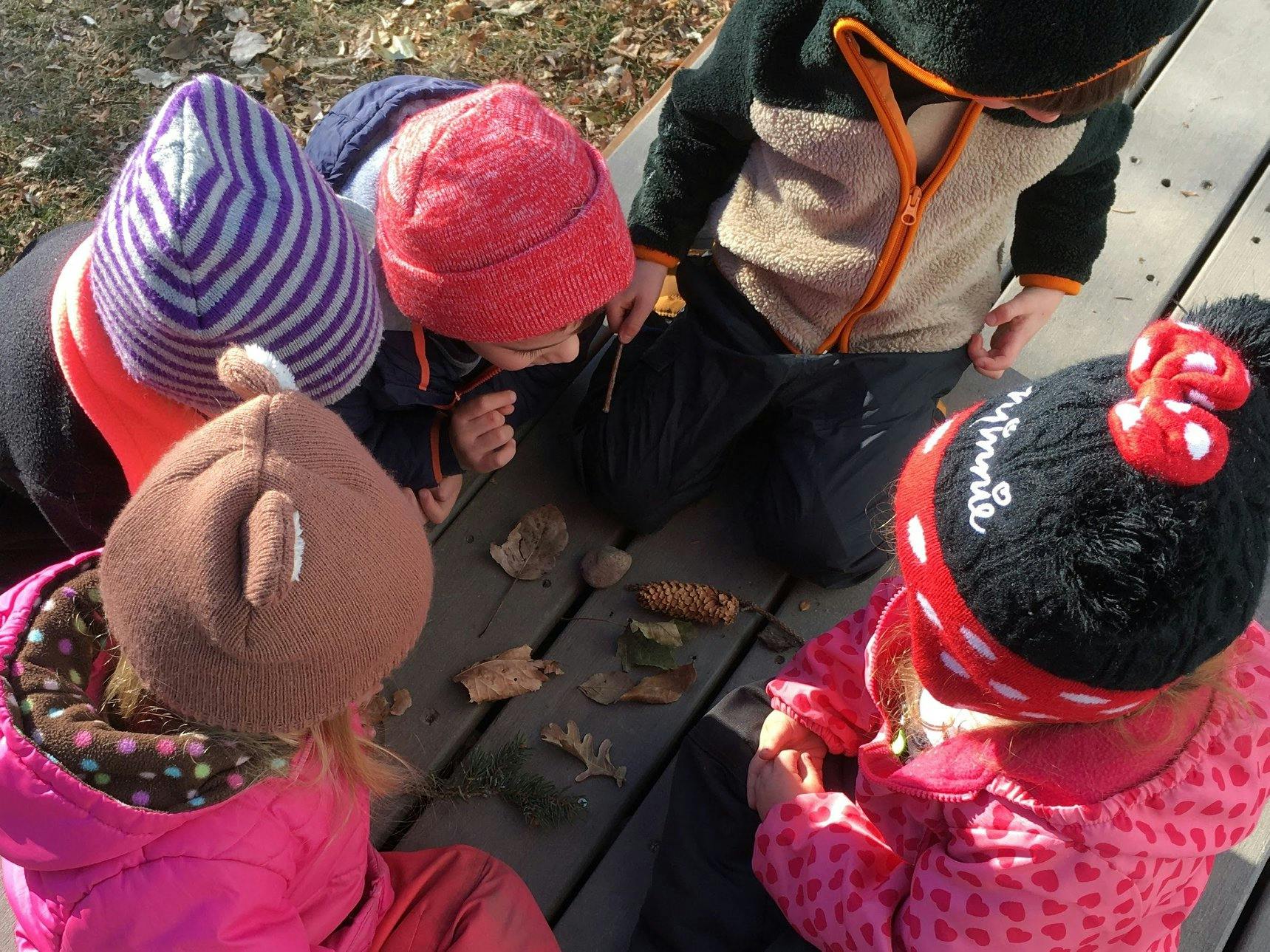 Children looking at leaves on a wooden surface