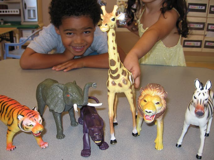 Child and teen playing with animal figurines including a giraffe, tiger, elephant, and zebra
