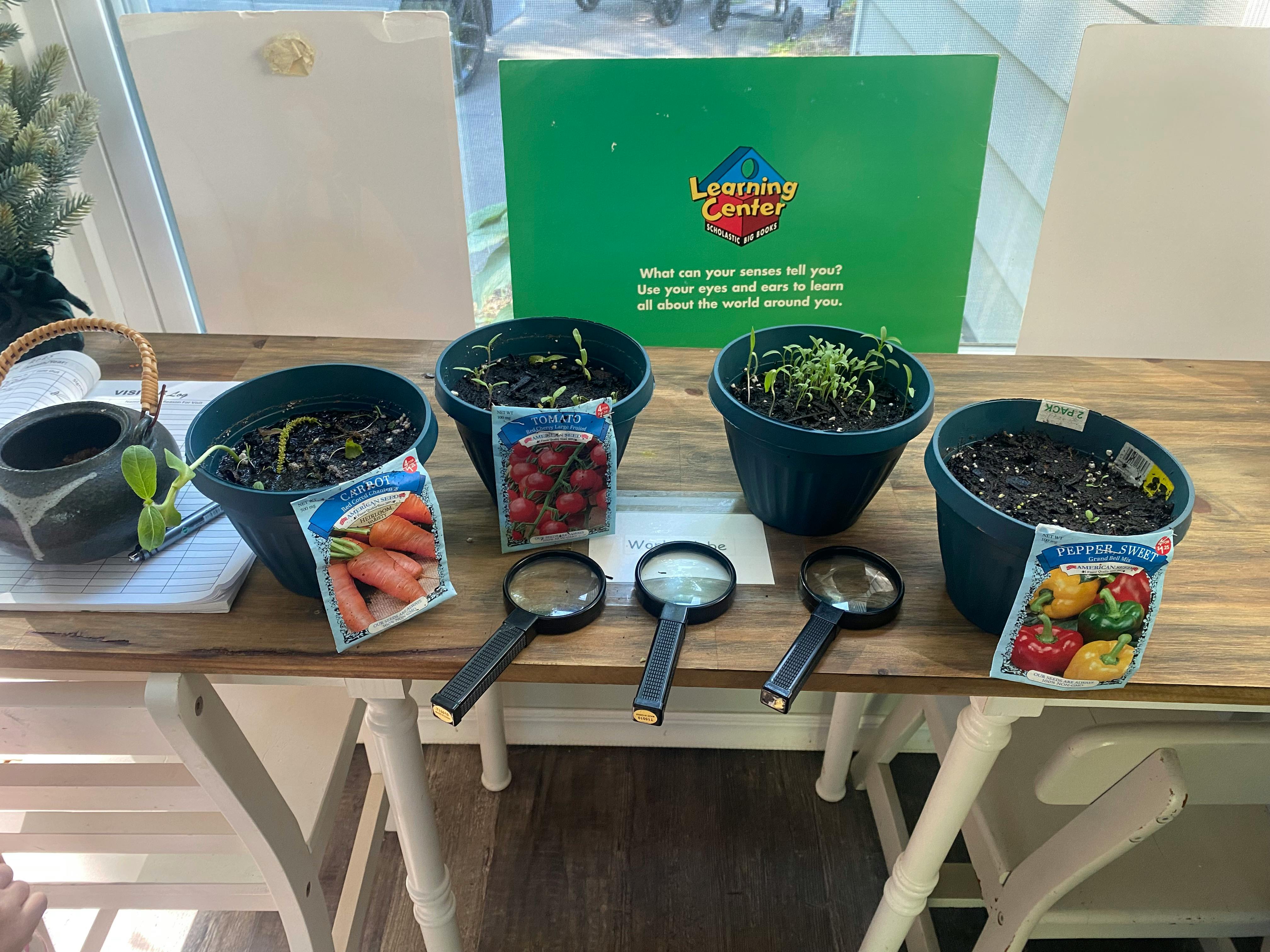 Potted plants, seed packets, and magnifying glasses on a table
