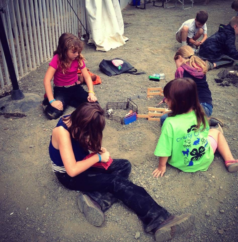 Children playing with small animal enclosures on the ground