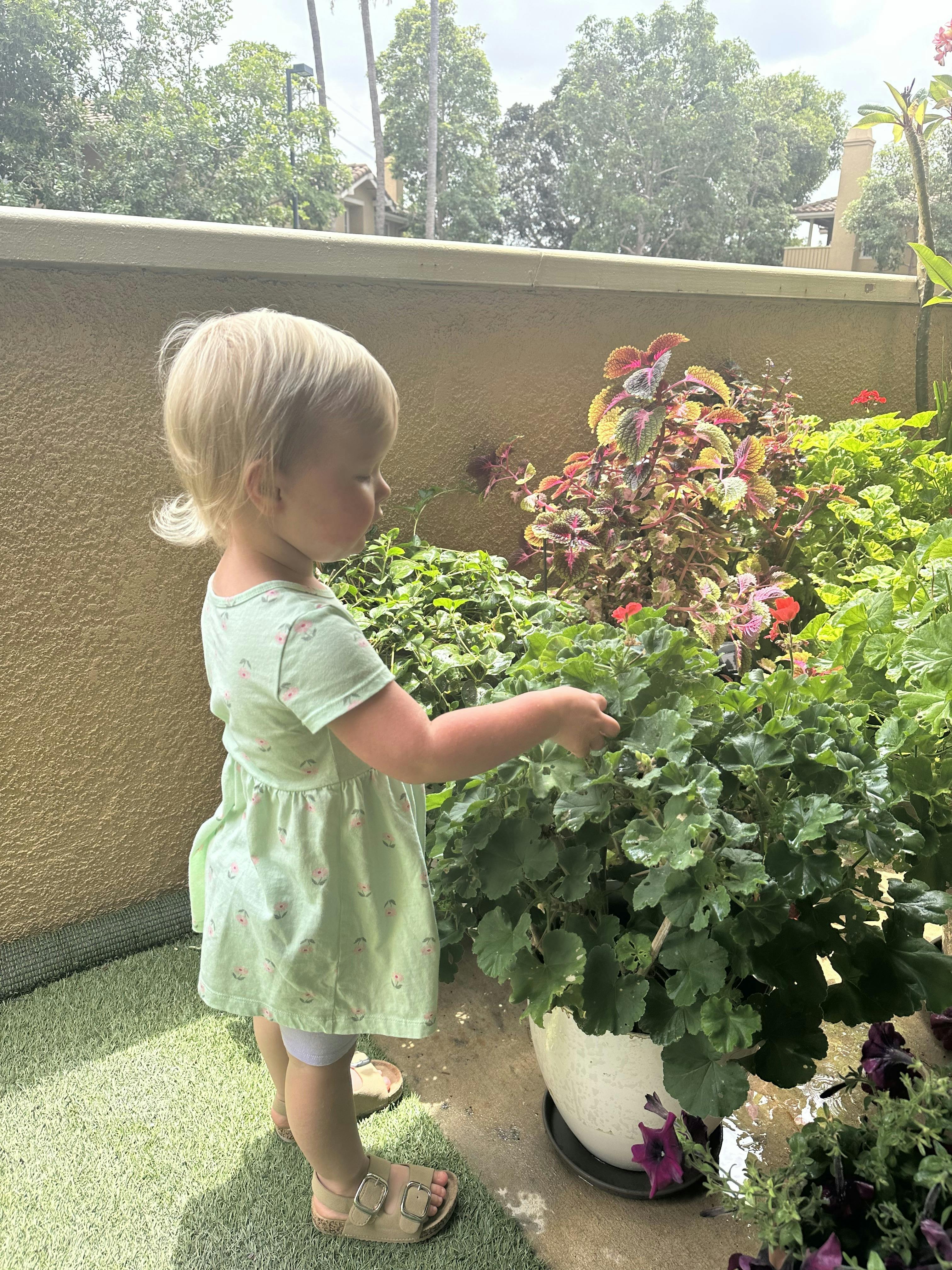 Child touching a potted plant on a balcony