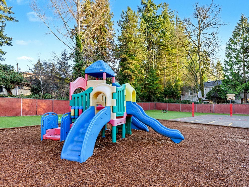 Colorful playground structure with multiple slides on wood chips
