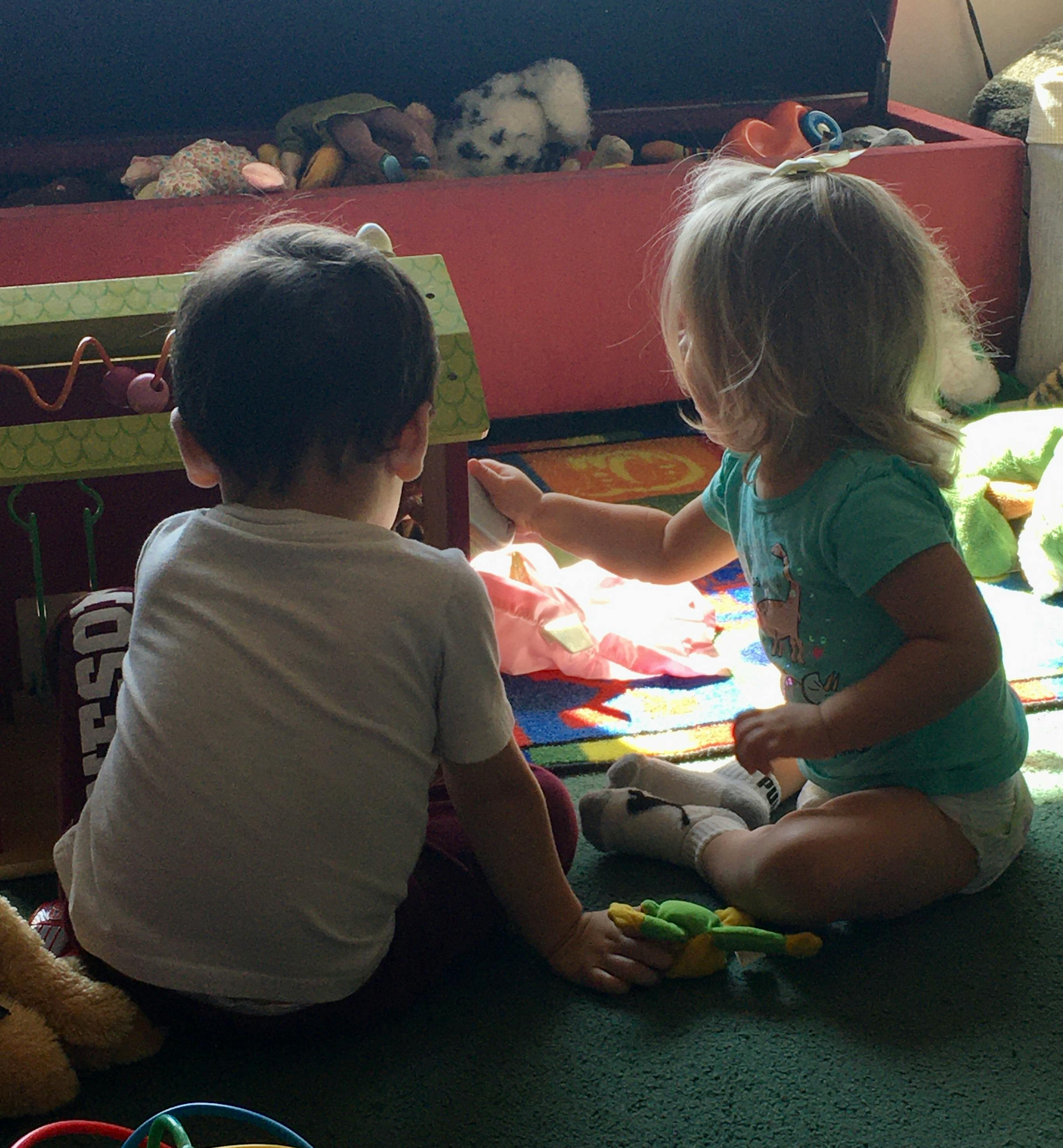 Two children sitting on the floor playing with toys