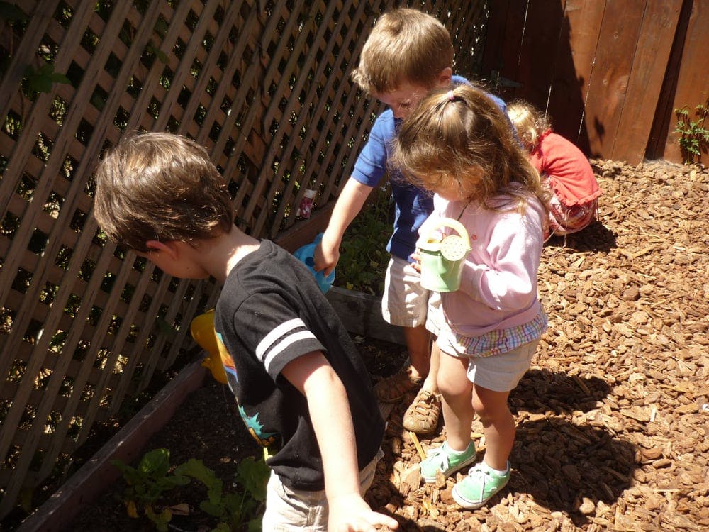 Three children playing outdoors