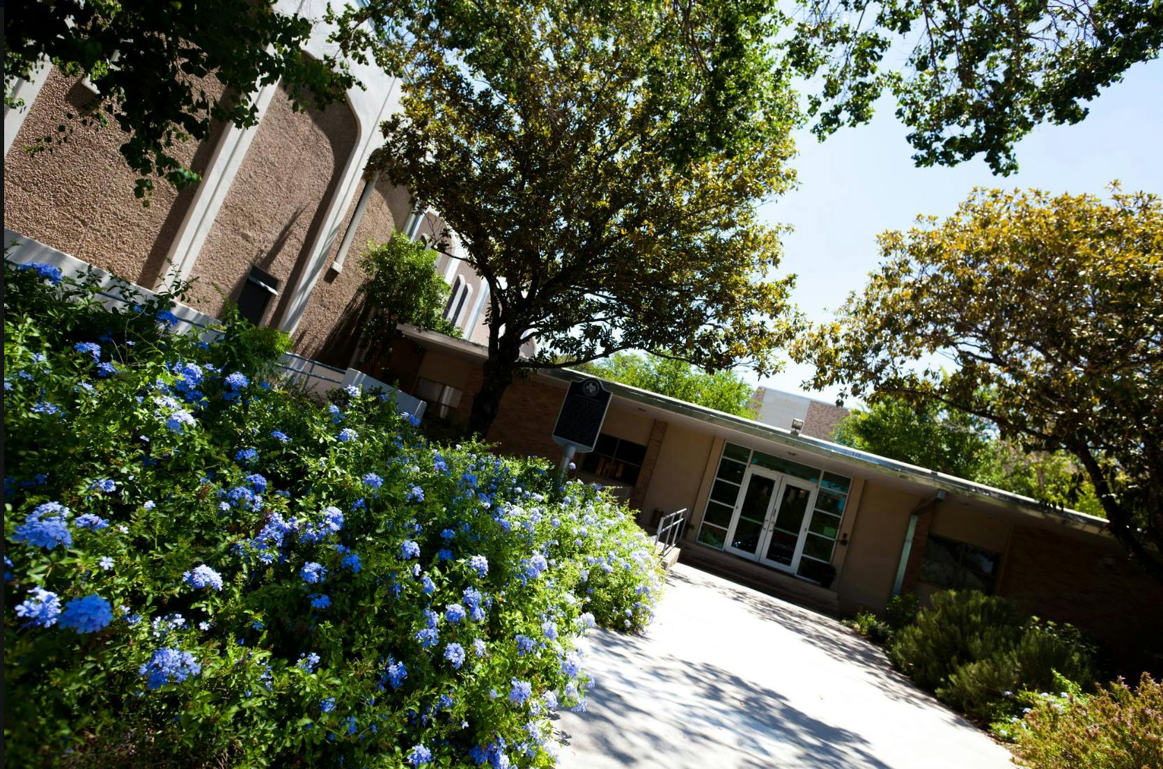 Building exterior with blue flowers in the foreground