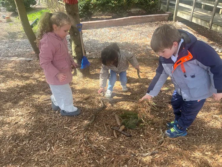 Three children playing outdoors with natural elements on wood chips