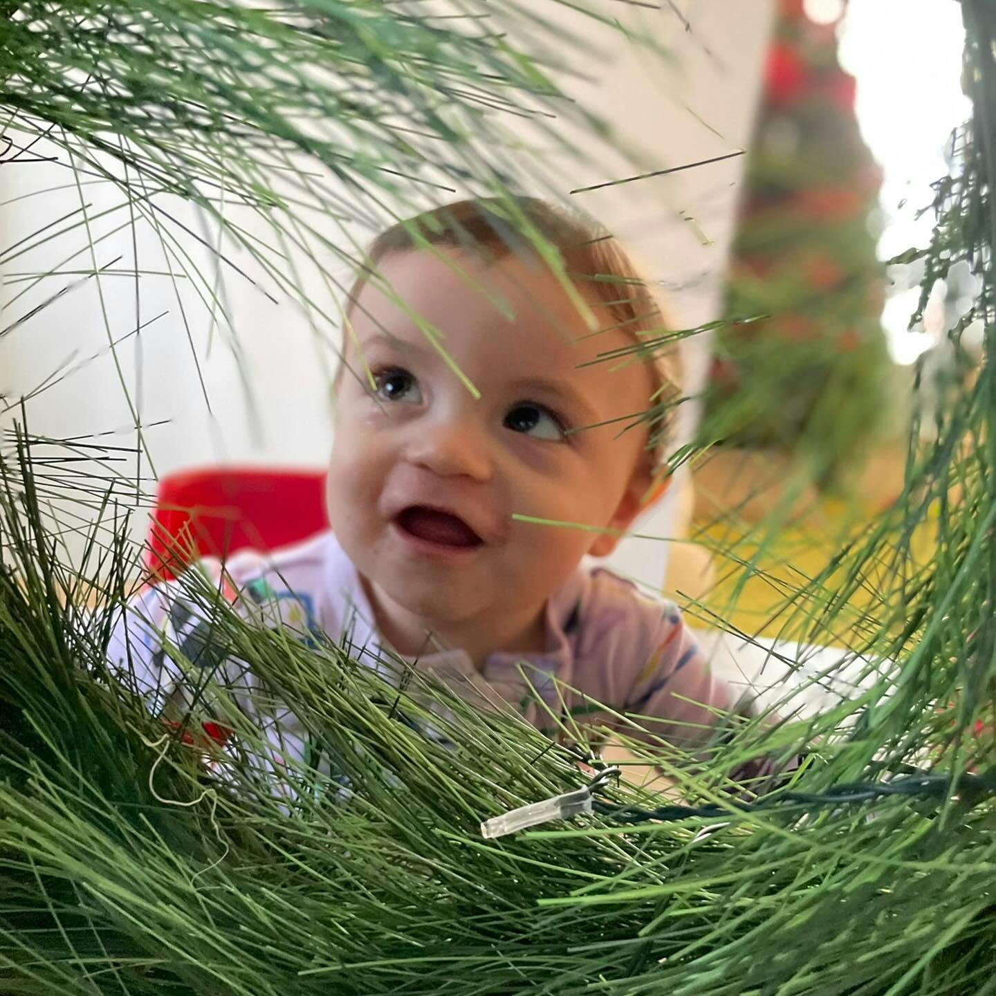 A child looking through a pine wreath
