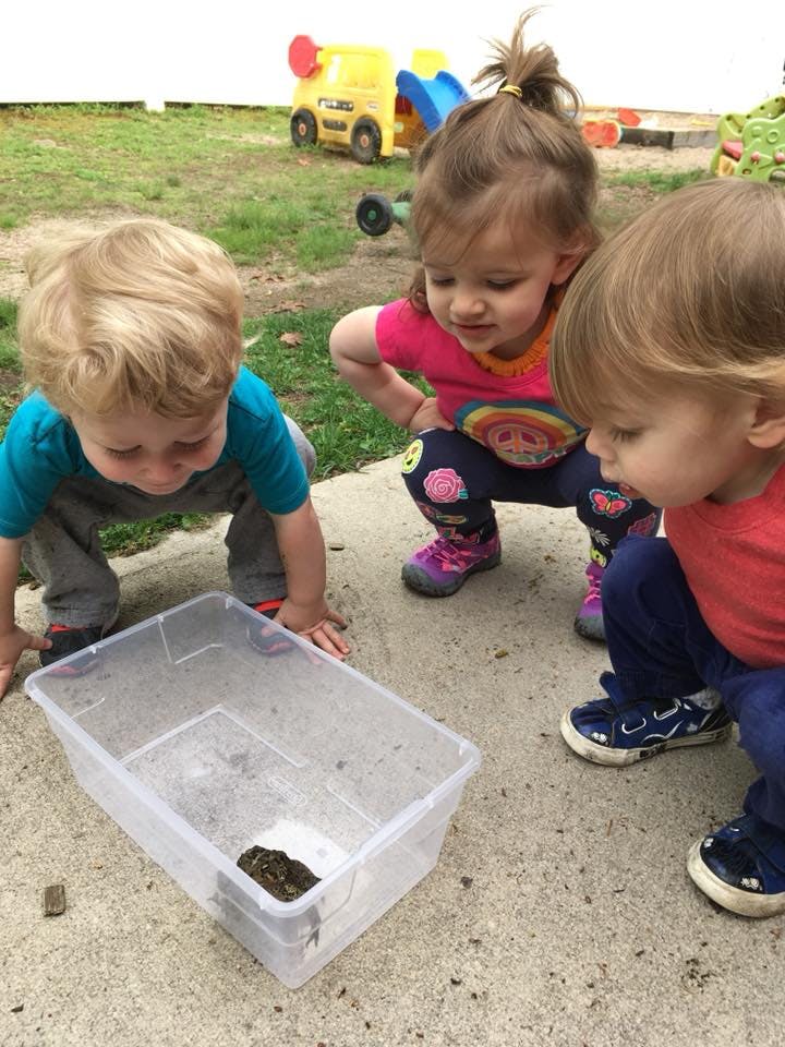 Three children looking into a clear plastic container with something inside