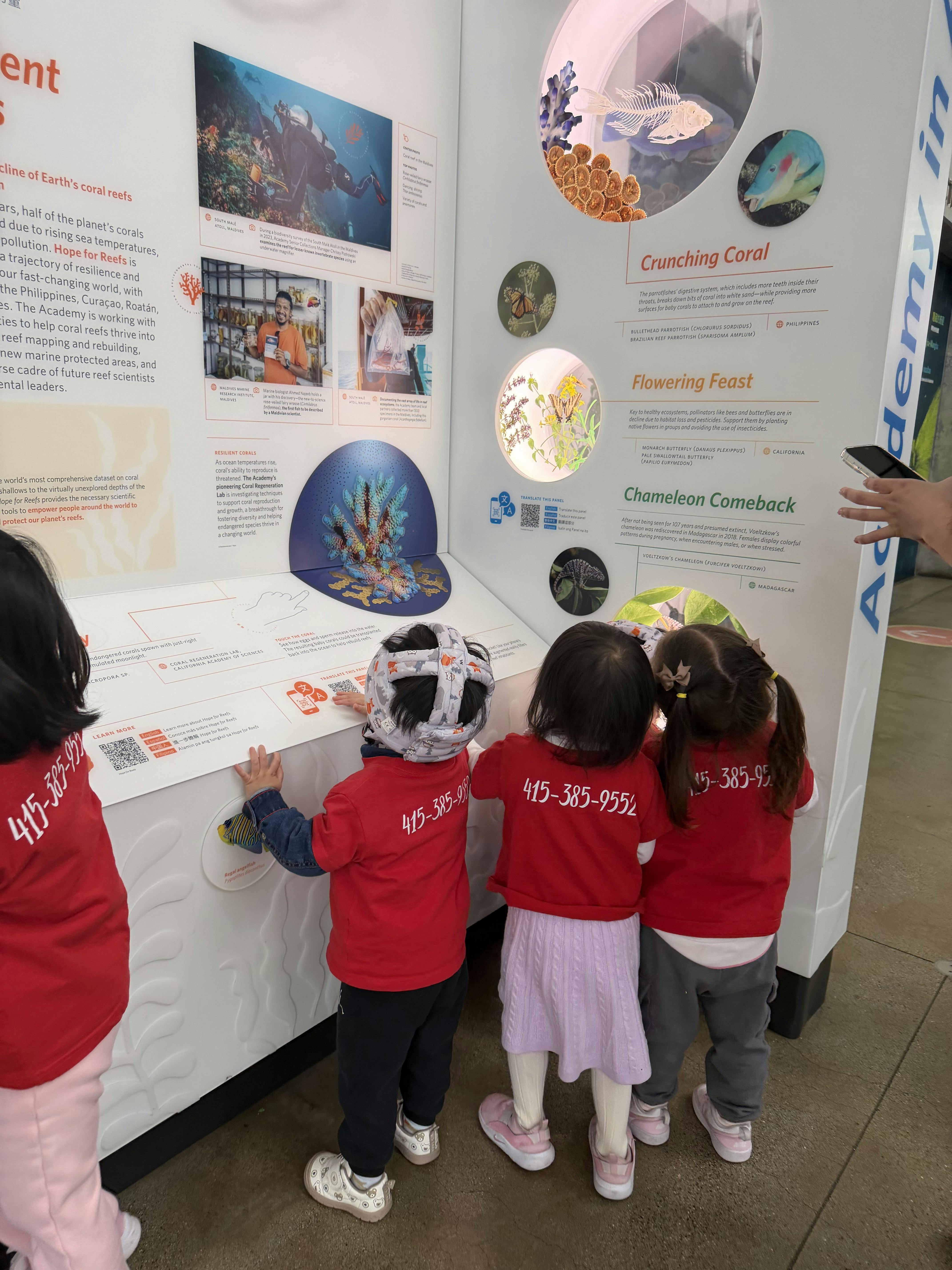 Three children in red shirts looking at an exhibit display