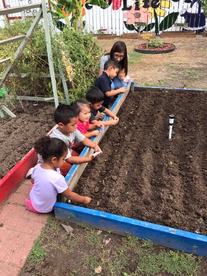 Adult and children planting in a garden bed