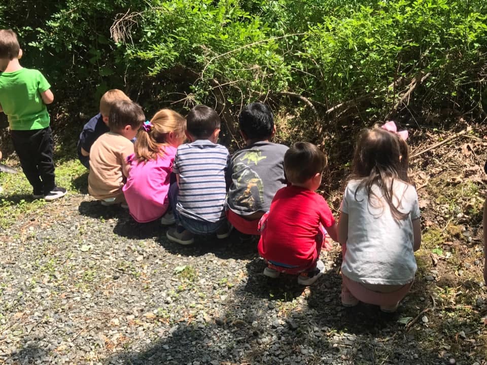 Children crouching and looking into bushes