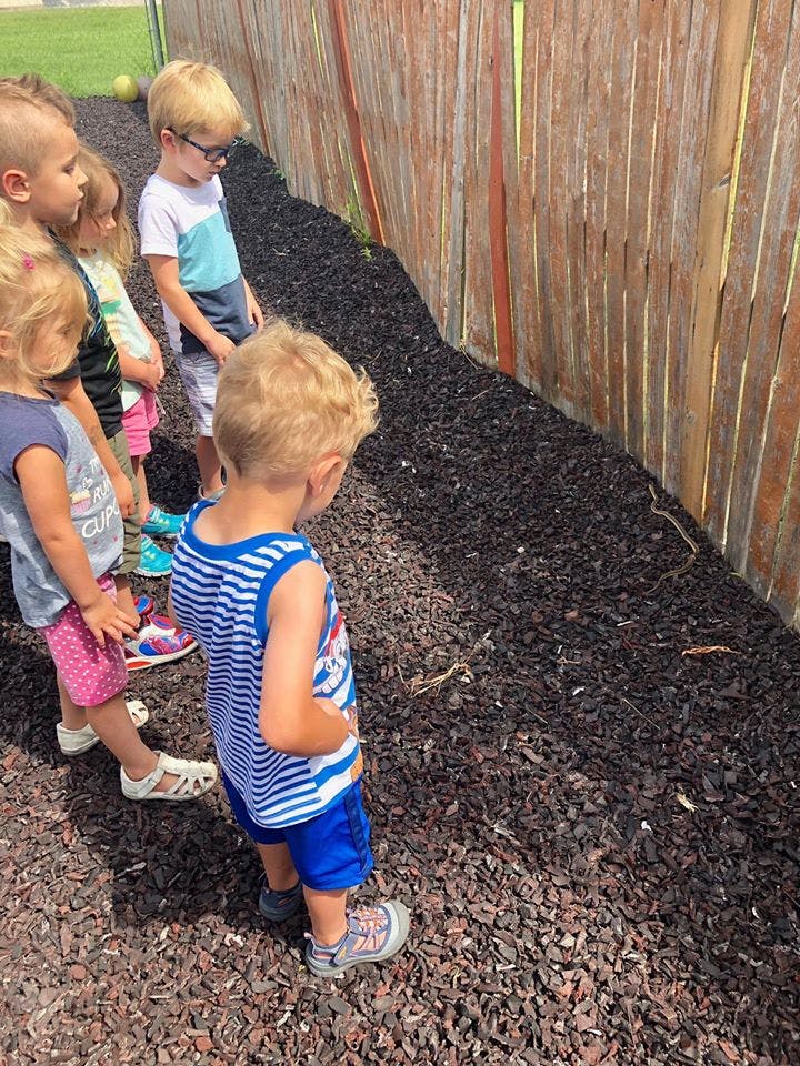 Children looking at the ground next to a wooden fence