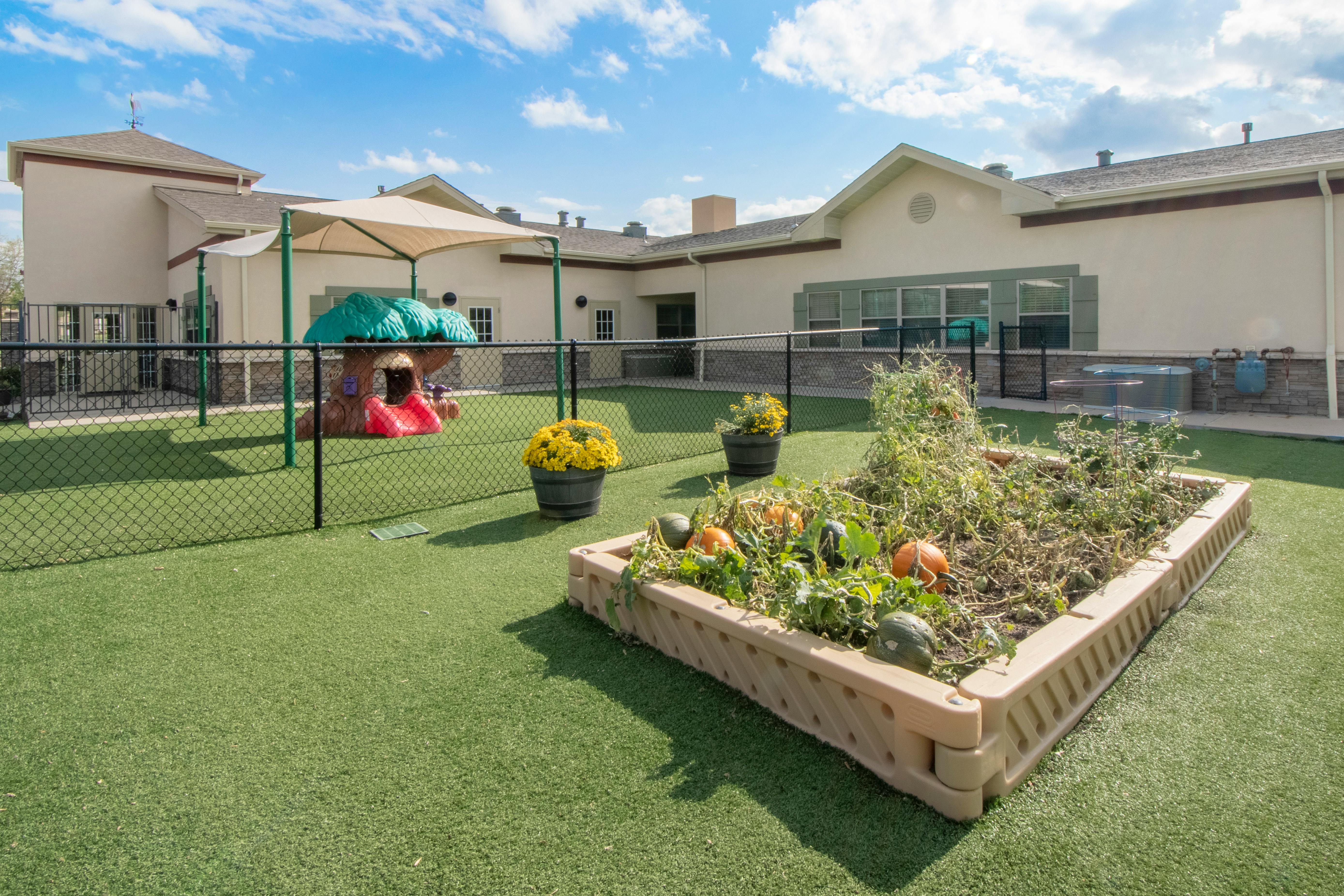 Outdoor play area with an artificial turf, a garden bed with pumpkins, and a playground