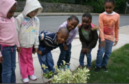 Group of children looking at a plant