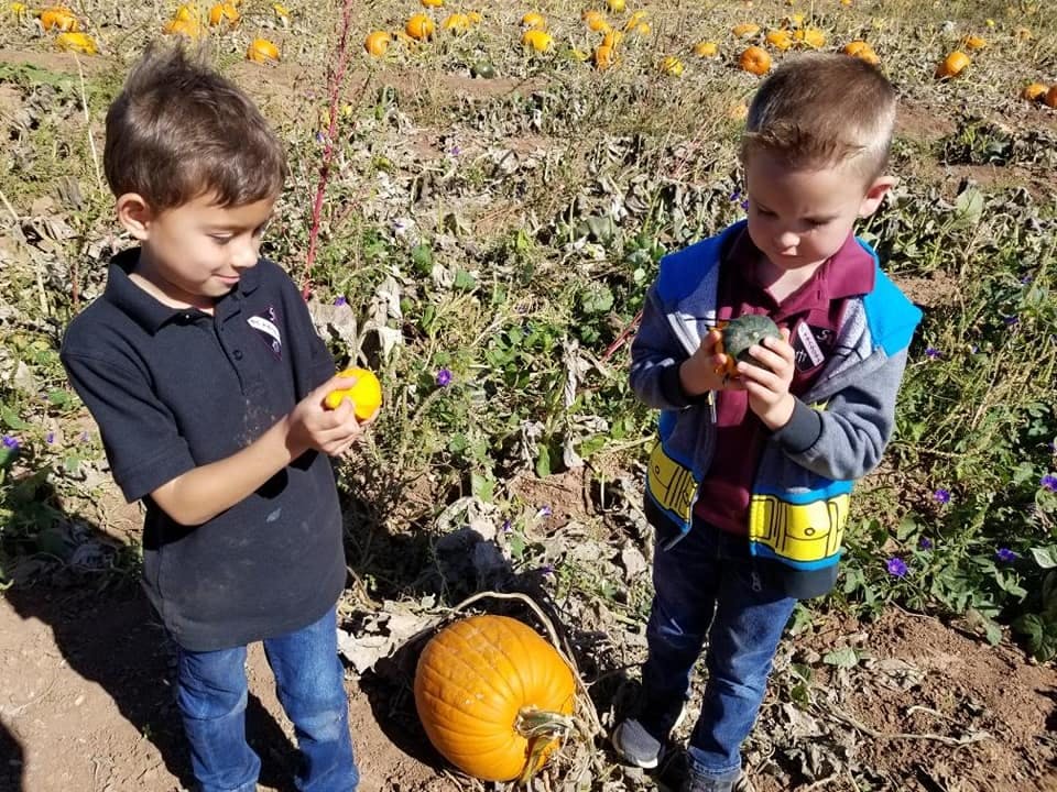 Two children holding small gourds in a pumpkin patch