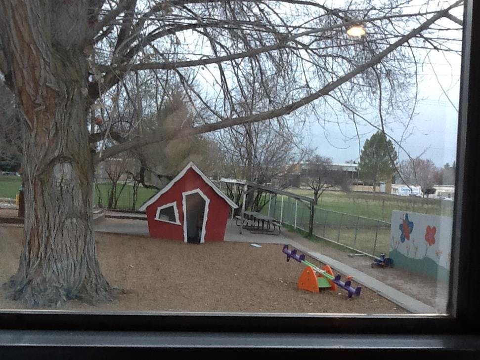 Playground with a red playhouse, tree, and seesaw