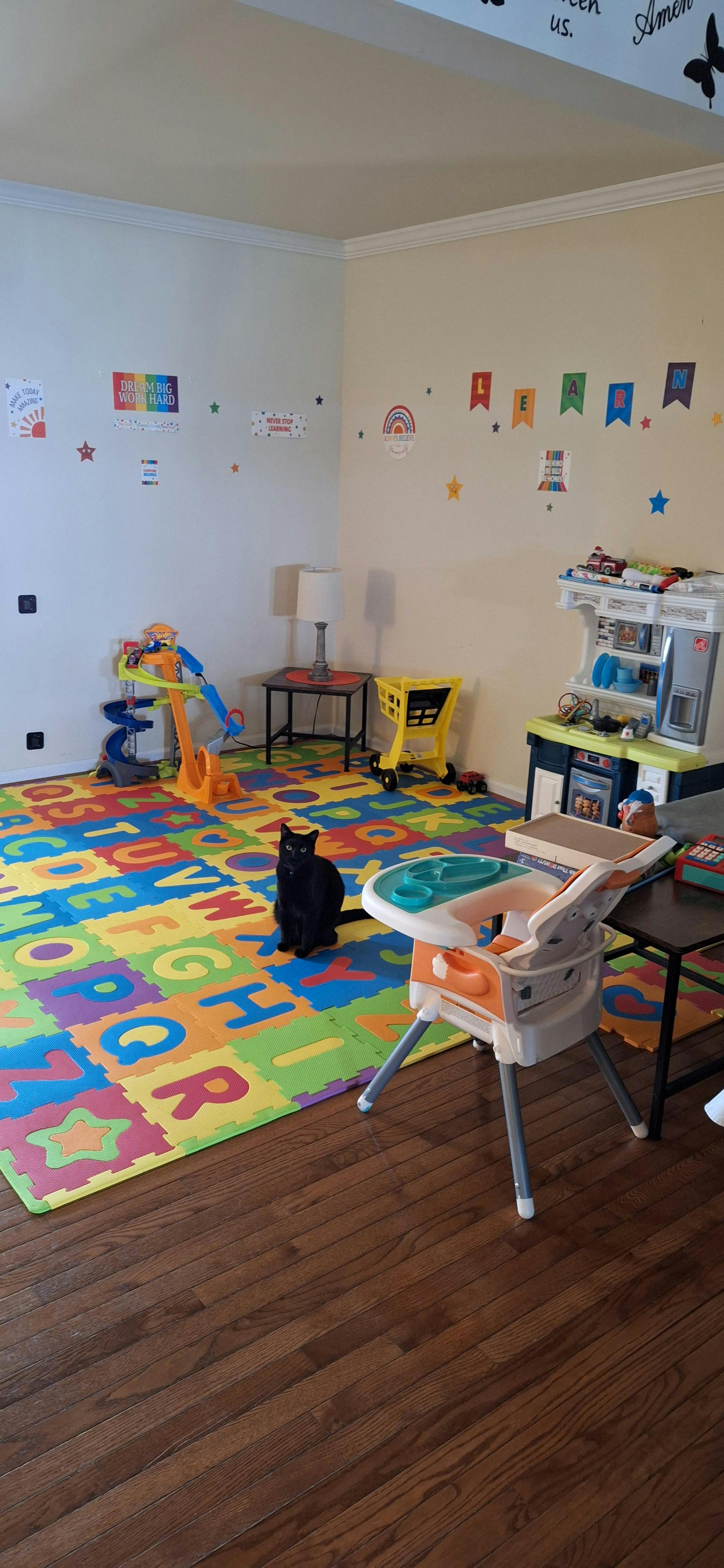 Black cat sitting on a colorful alphabet playmat in a room with toys