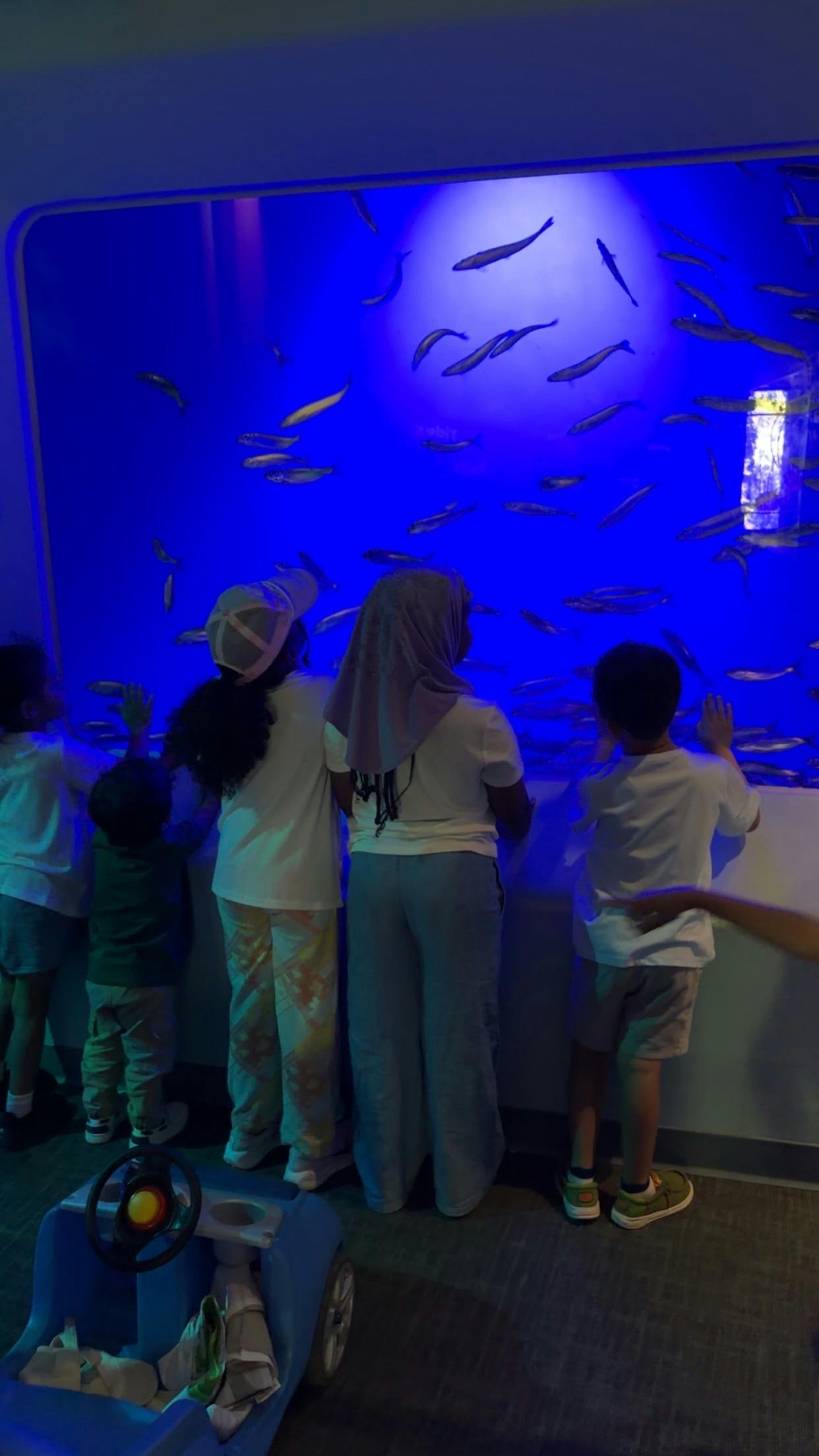 Group of children observing fish in a large aquarium tank