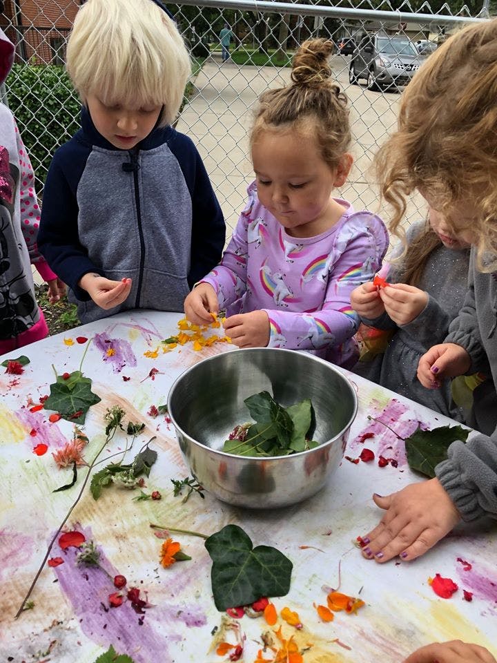 Children making art with leaves and flower petals on a table