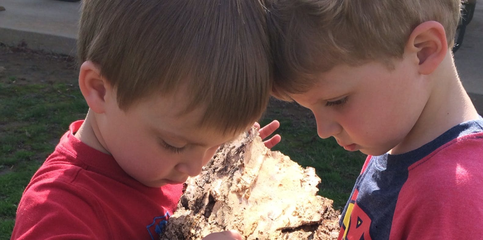 Two children looking down at a rock