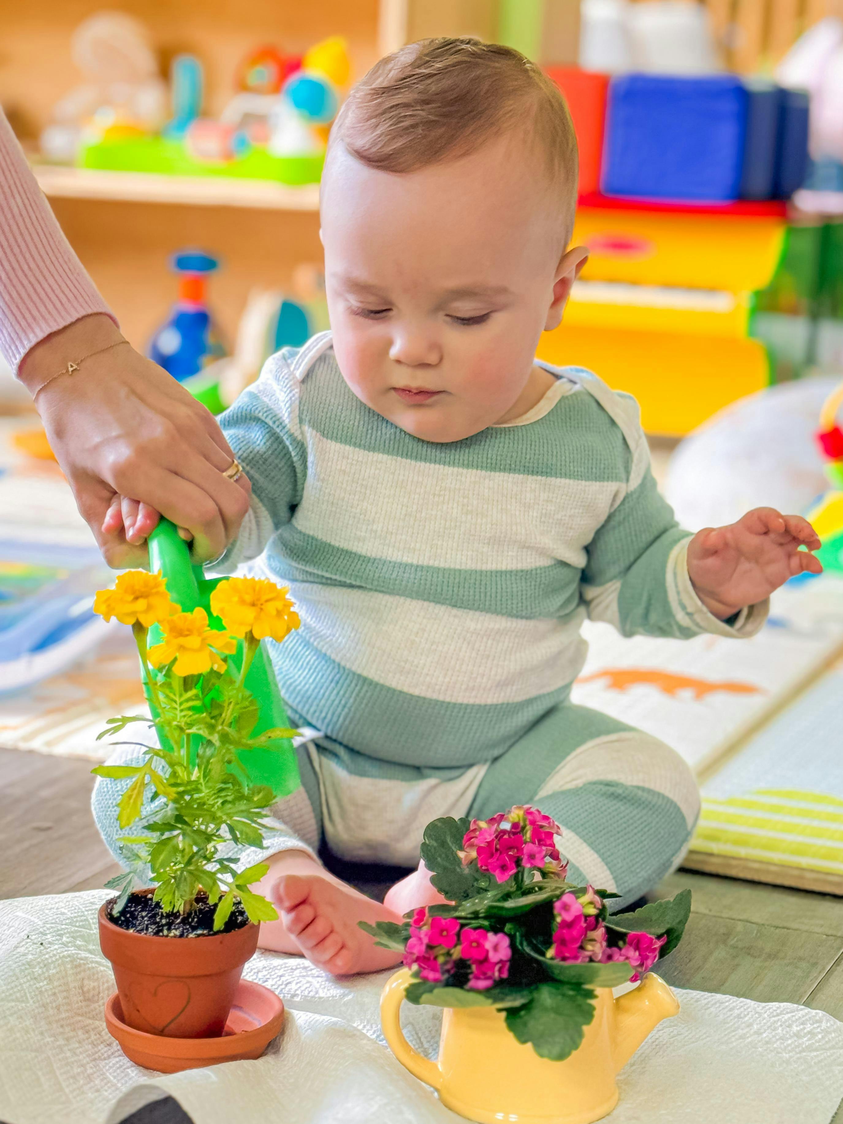 Adult hand helping a child water potted flowers