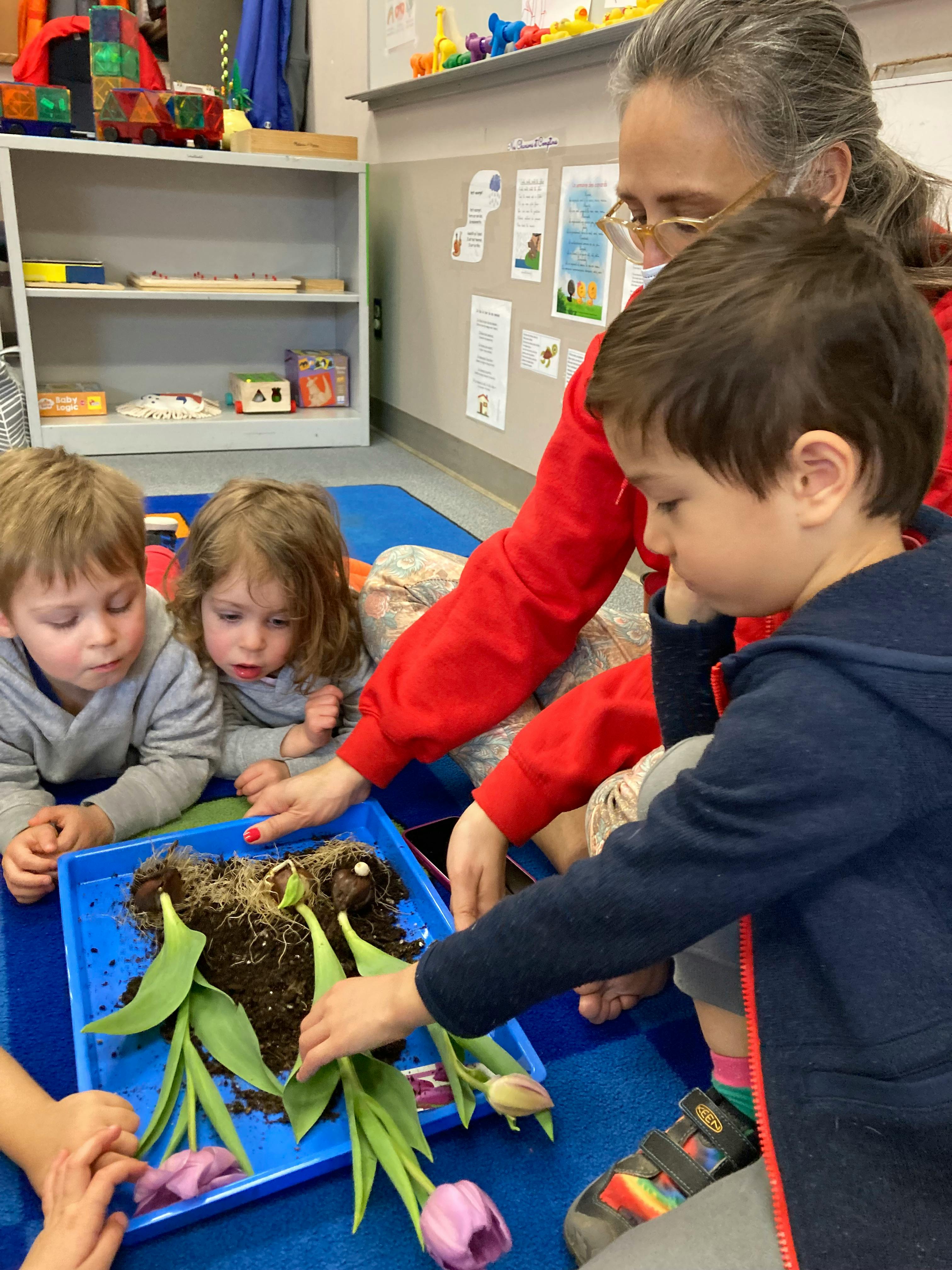 Adult and children examining plants in a tray