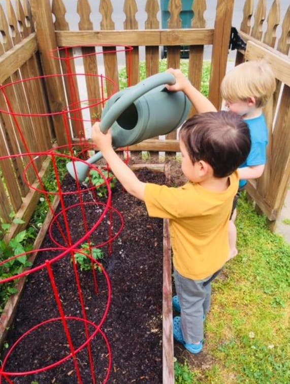Child watering plants in a garden bed with a watering can