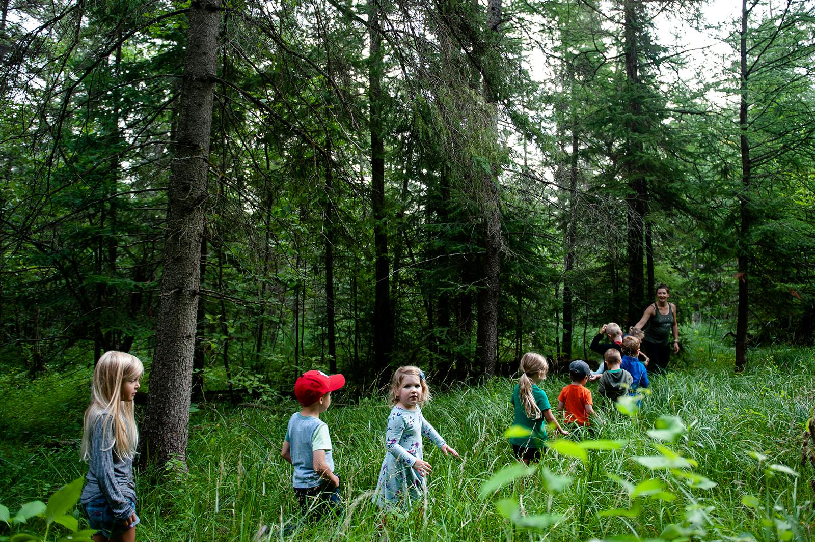 Children and an adult walking through tall grass in a forest