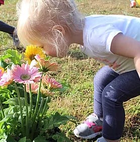Child smelling flowers