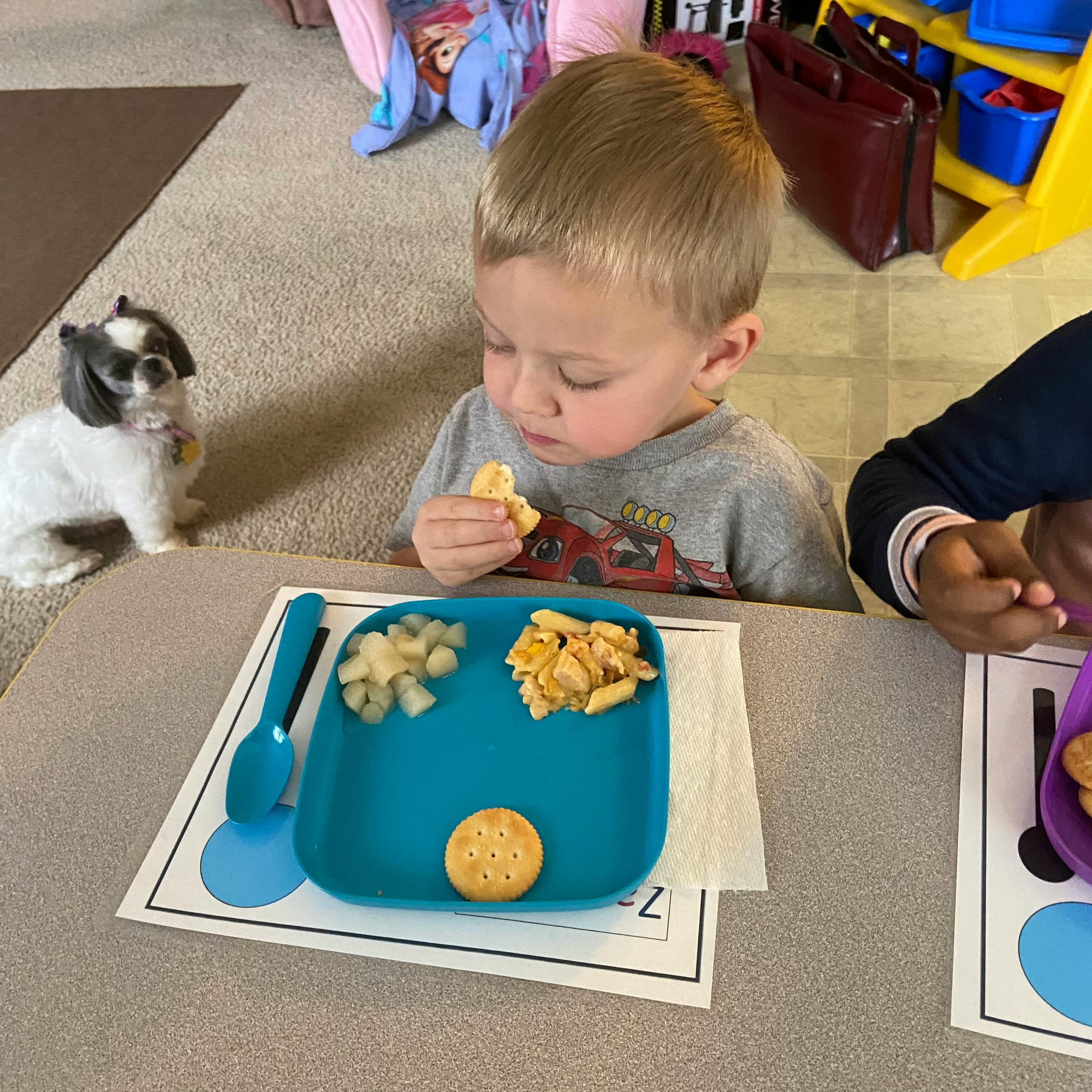 Child eating a cracker at a table with a plate of food