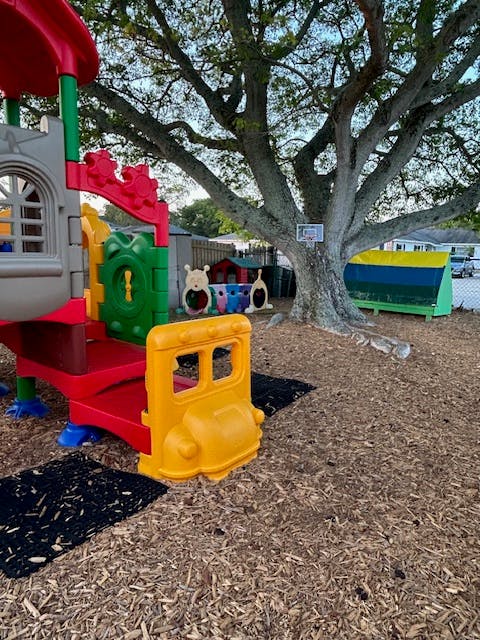 Playground with colorful play structure and large tree