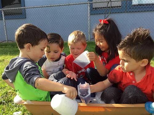 Children playing with water and cups in a sensory bin