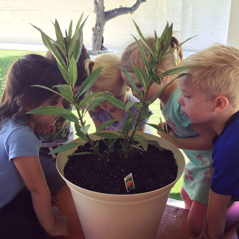 Children looking at a potted plant