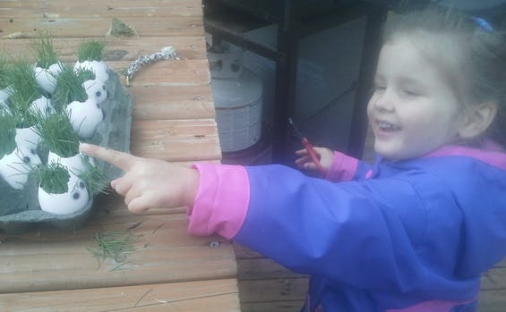 Child pointing at eggshells with grass growing grass