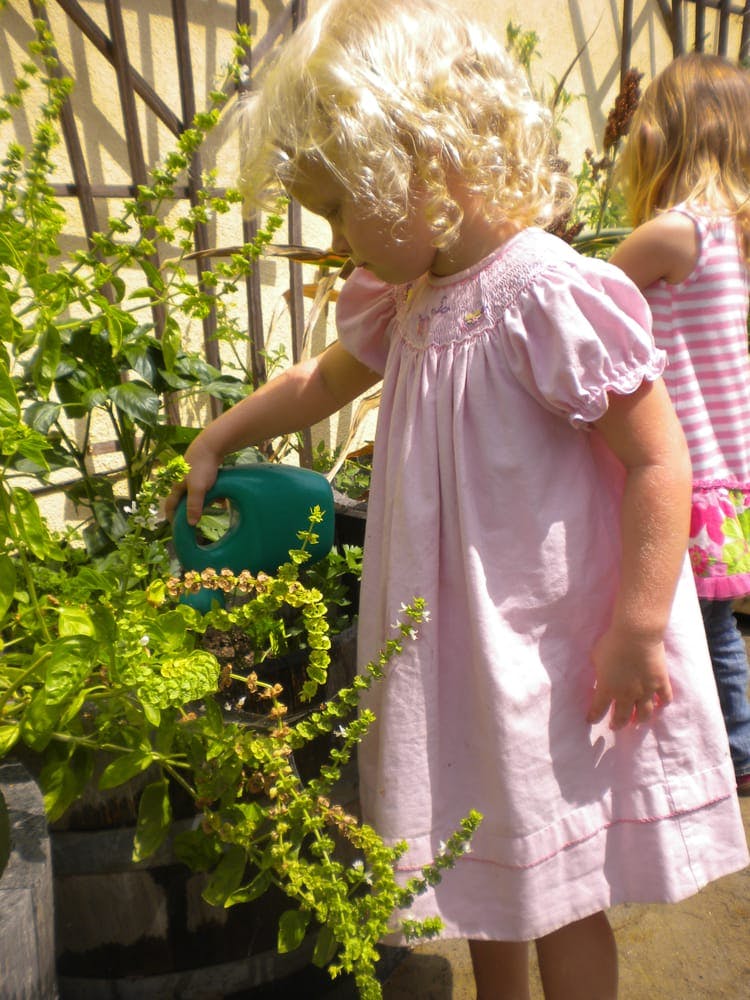 Child in pink dress watering plants with a green watering can