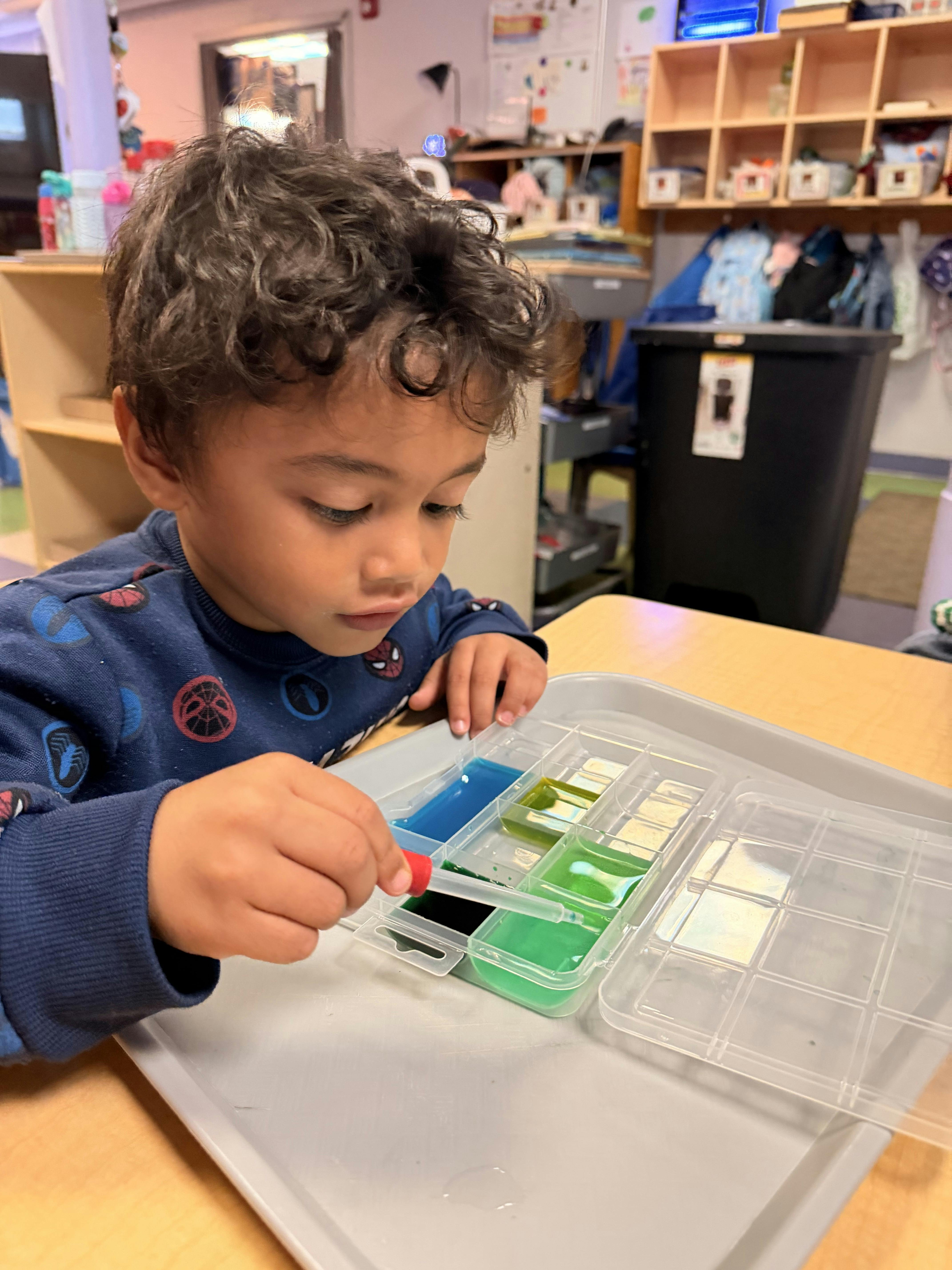 Child using a dropper to transfer colored water into a segmented tray