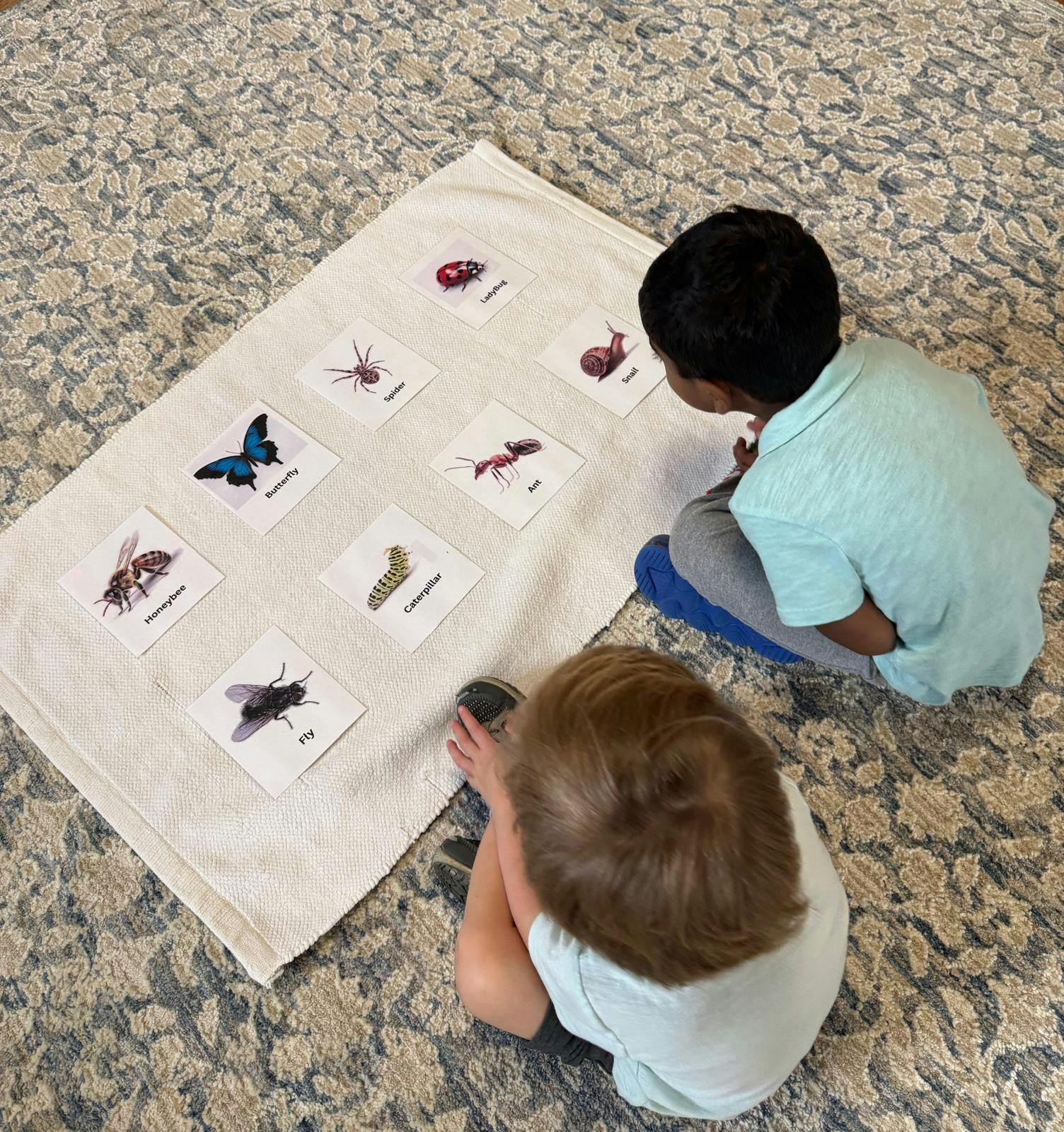 Two children looking at insect cards on a mat
