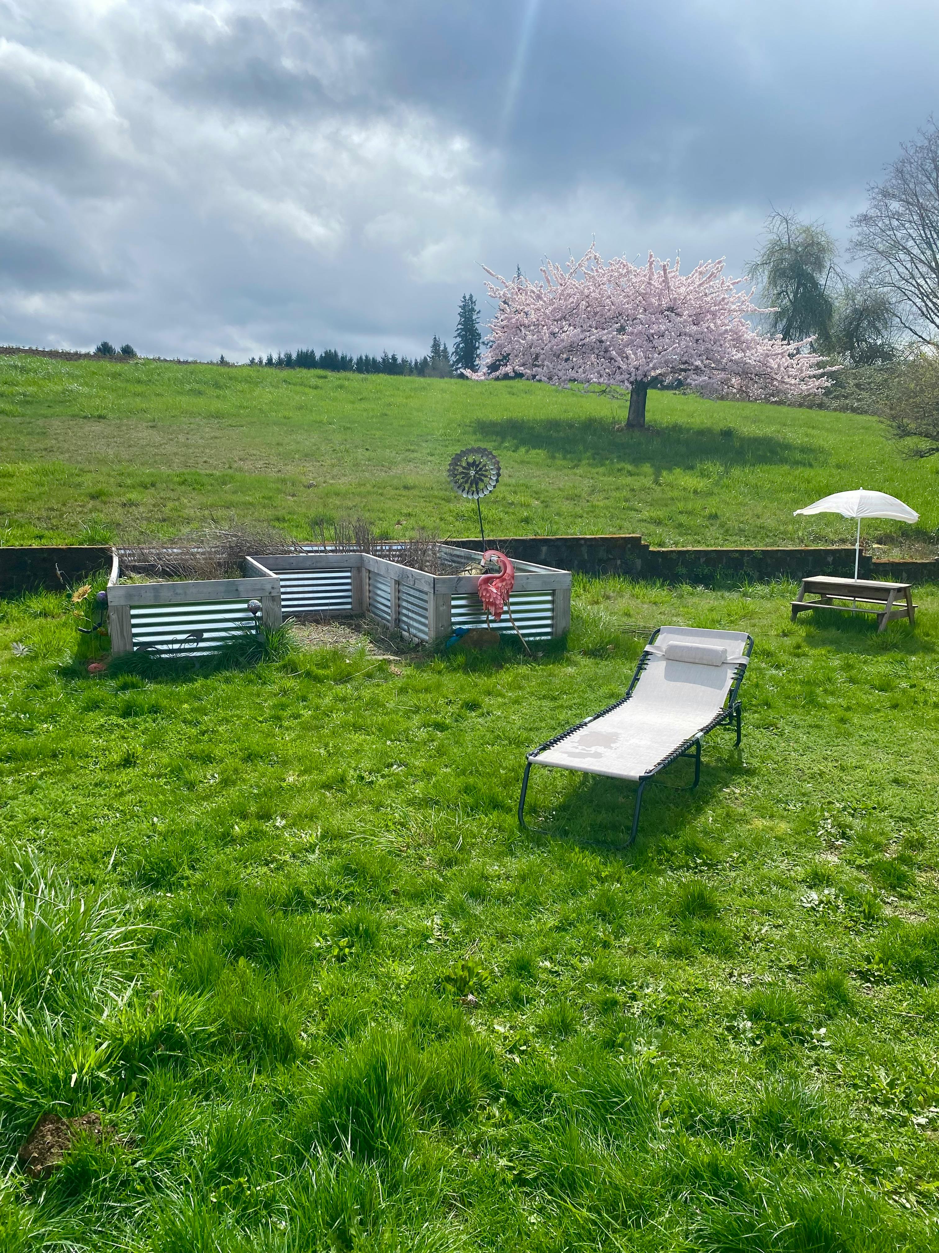 Raised garden beds, lounge chair, and picnic table with umbrella in a grassy field
