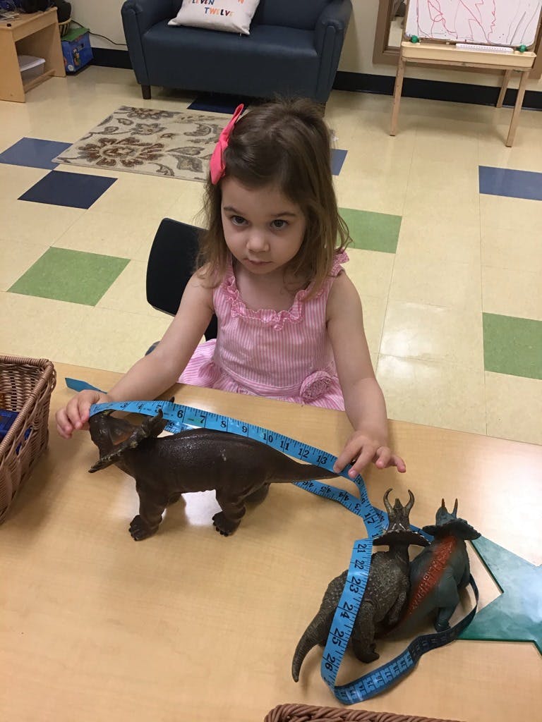 Child measuring toy dinosaurs with a tape measure