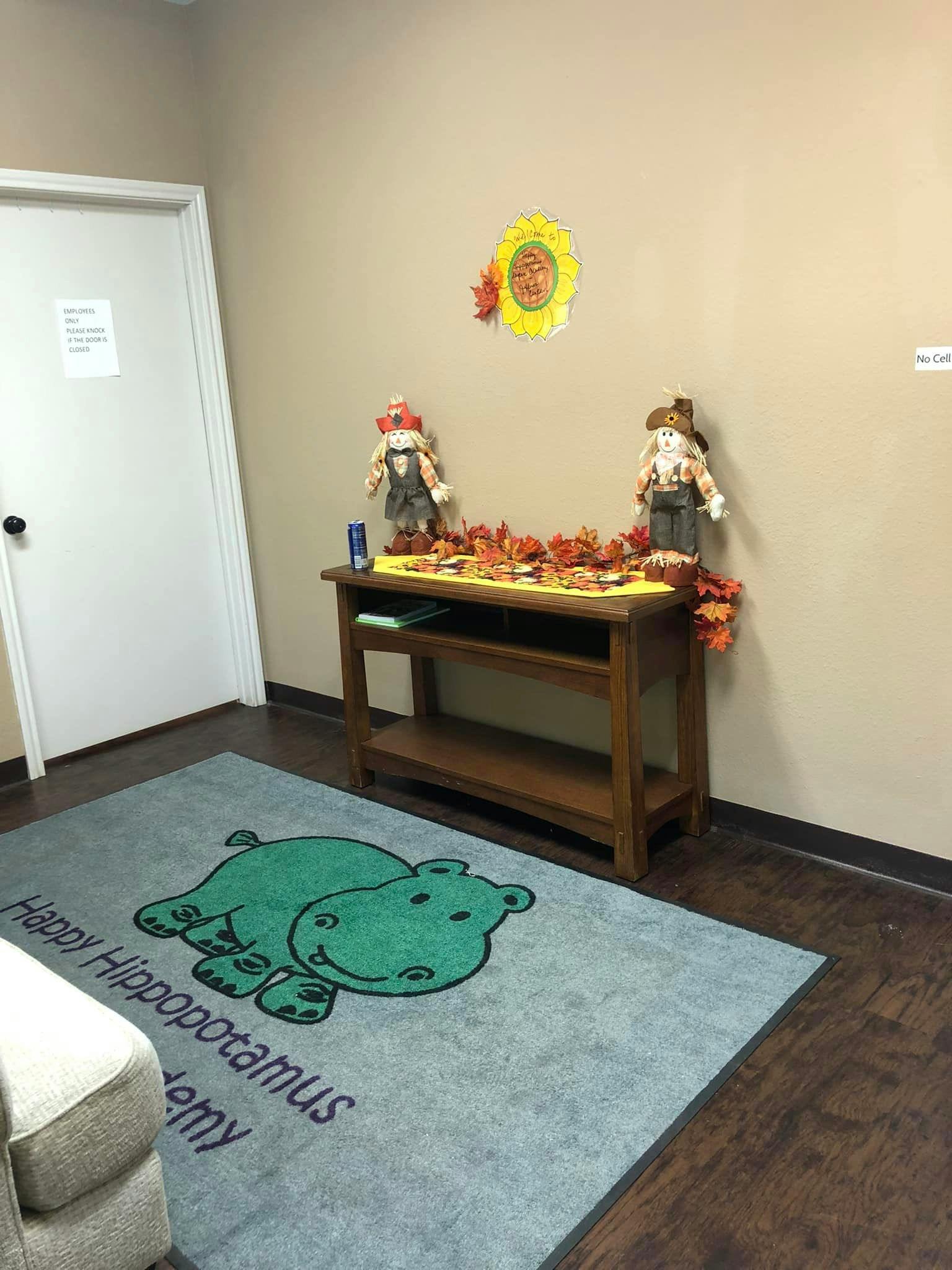Rug with a green hippo and "Happy Hippopotamus Academy" text