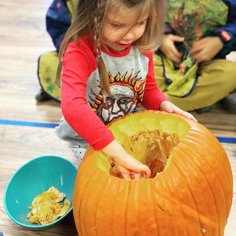 Child reaching into a pumpkin to remove seeds and pulp