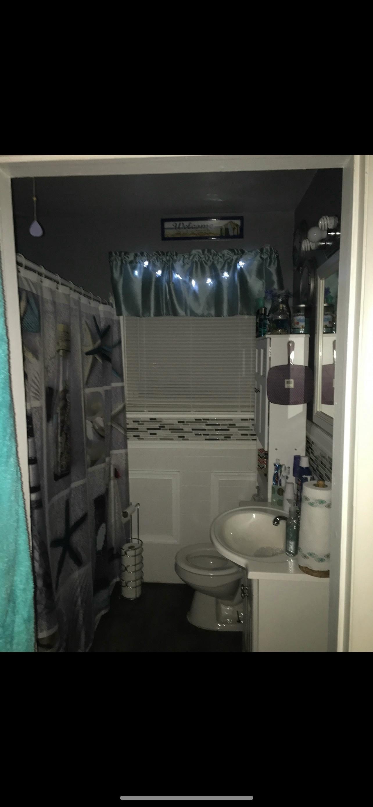 Bathroom with shower curtain, toilet, and sink