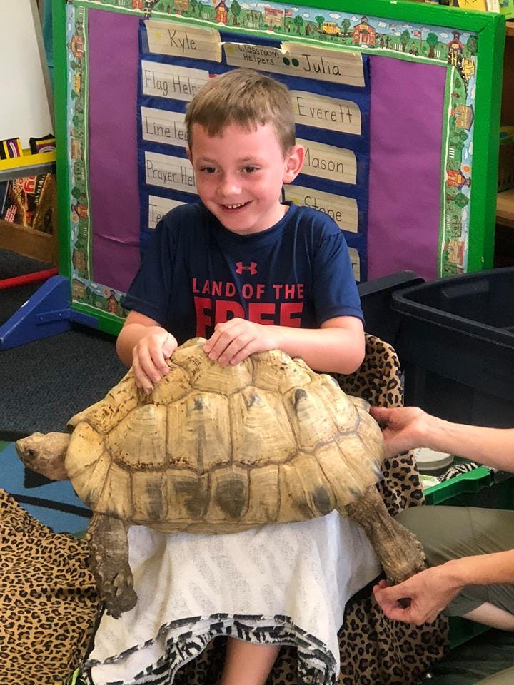Child touching a large tortoise in a classroom