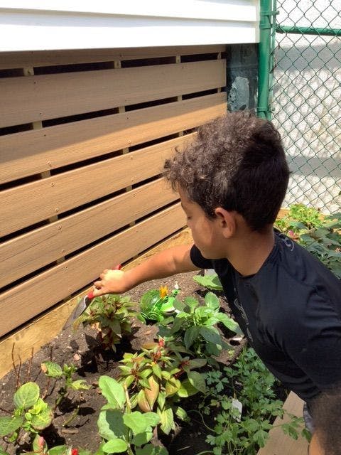Child tending to plants in a garden bed with a small trowel