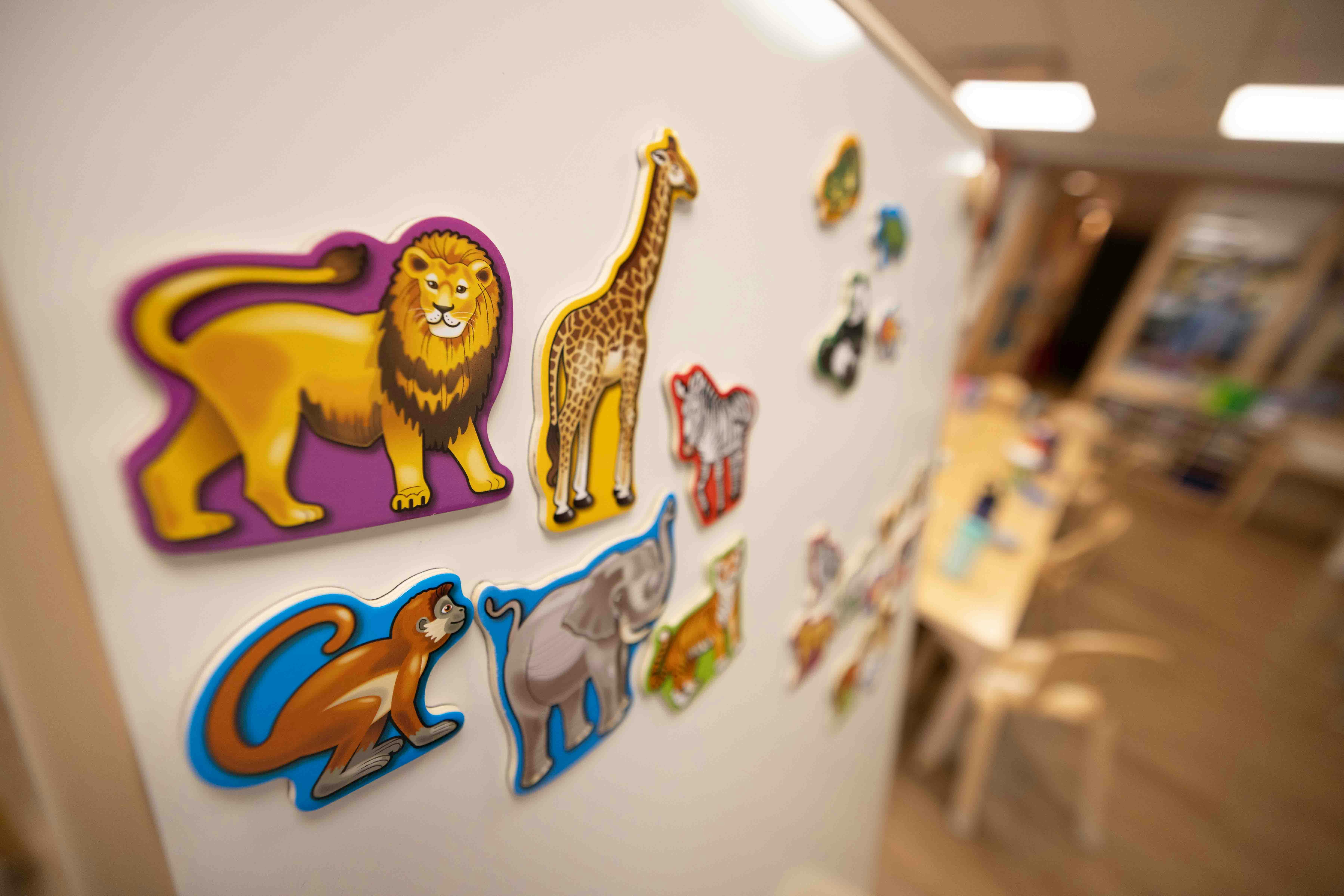 Animal magnets, including a lion, giraffe, monkey, and elephant, on a white board