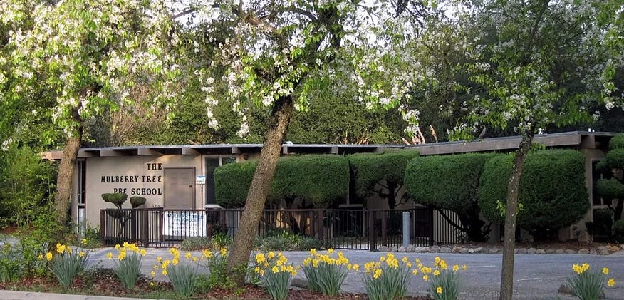 Mulberry Tree Preschool Preschool in Moraga, CA Winnie