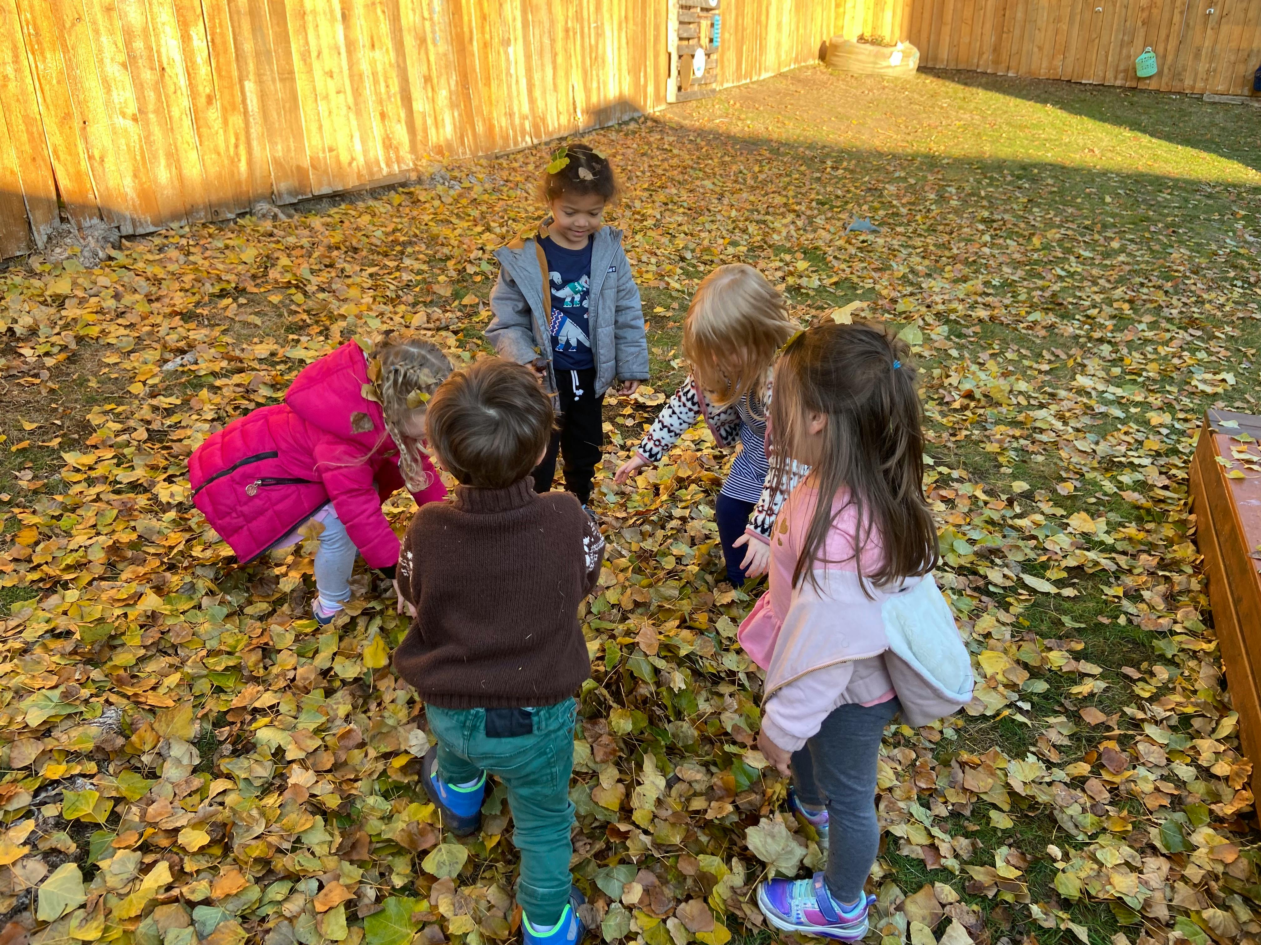 Children playing in a yard covered with fallen leaves