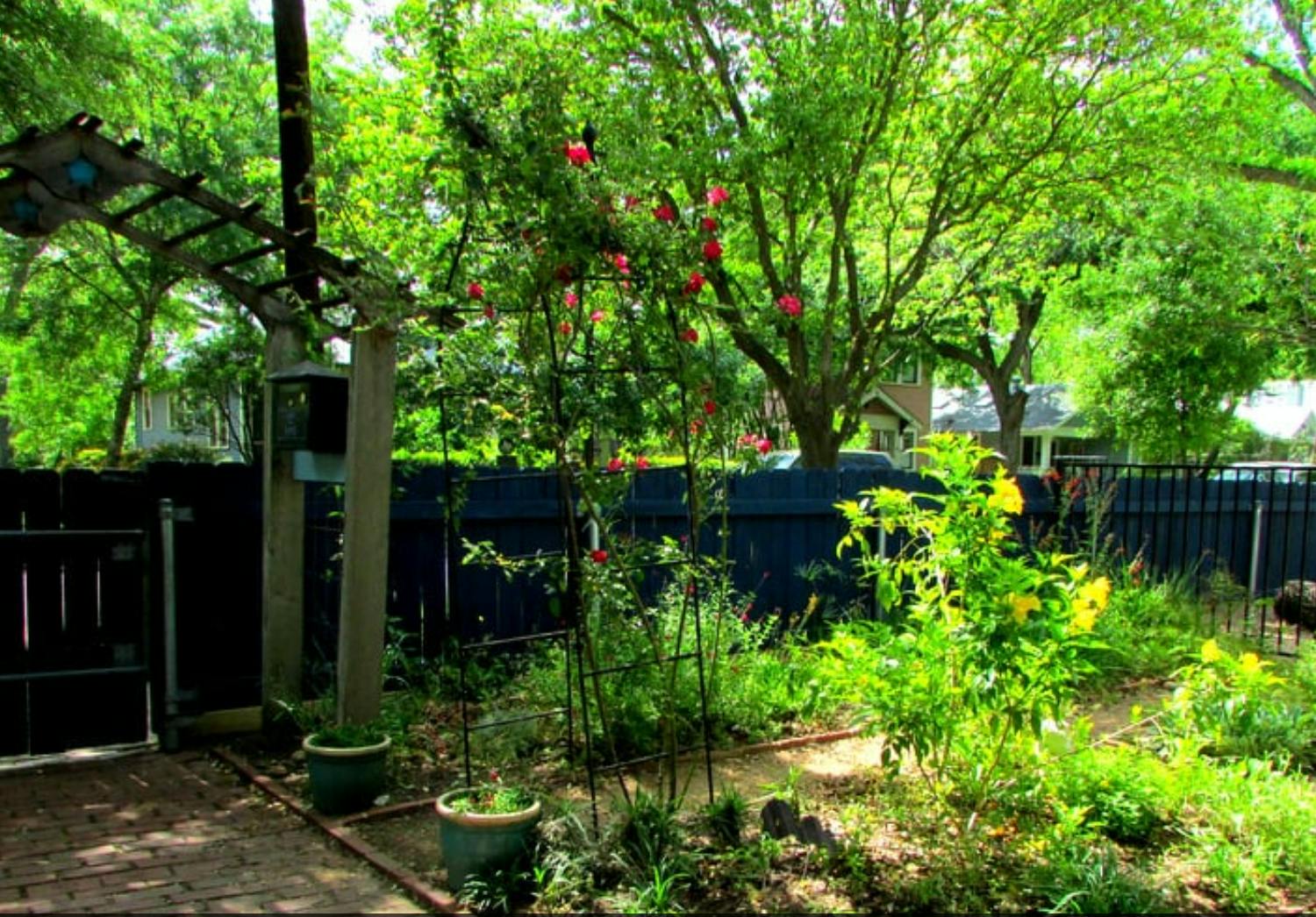 Garden with an arbor, flowering plants, and a fence