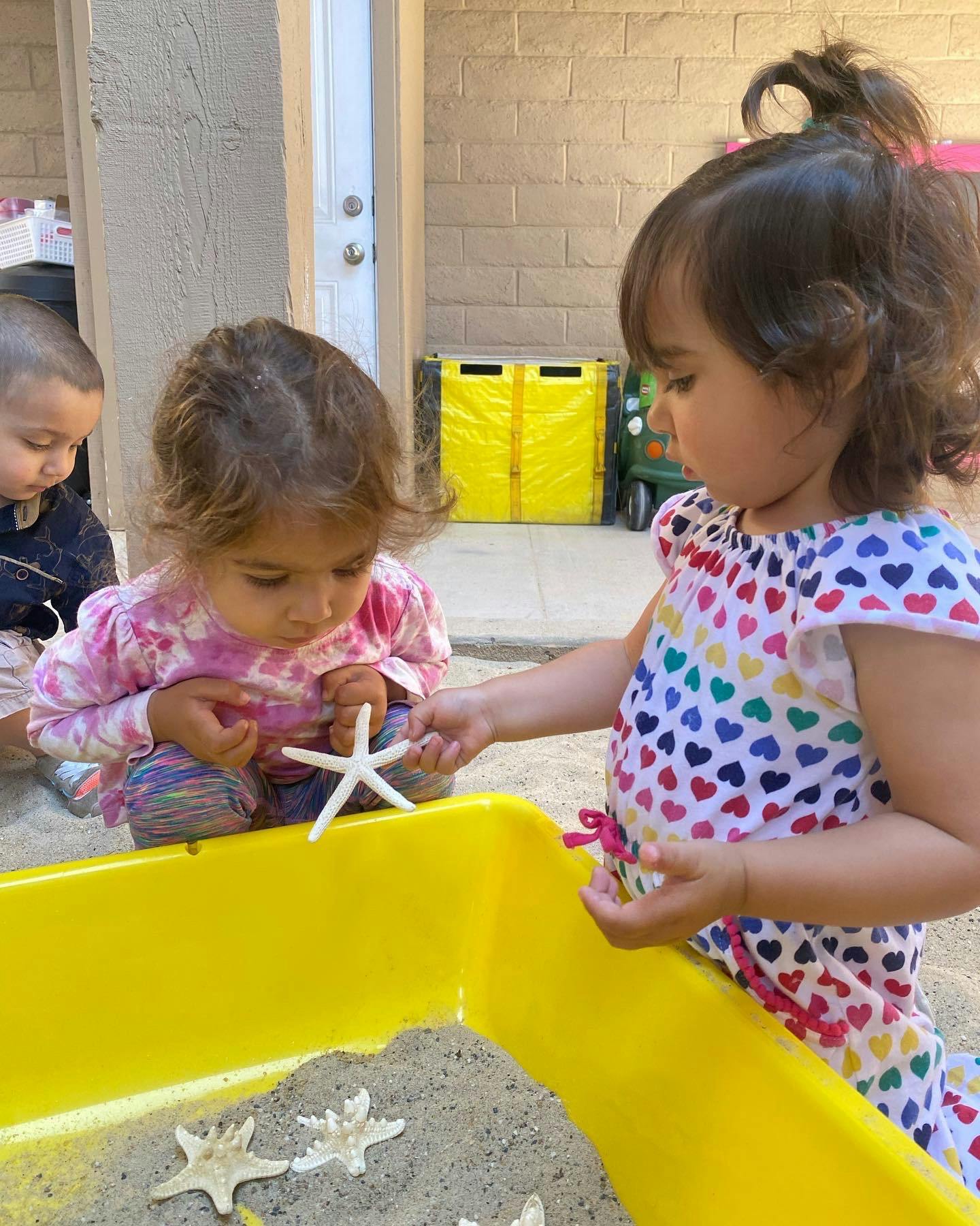 Two children playing with starfish in a sandbox